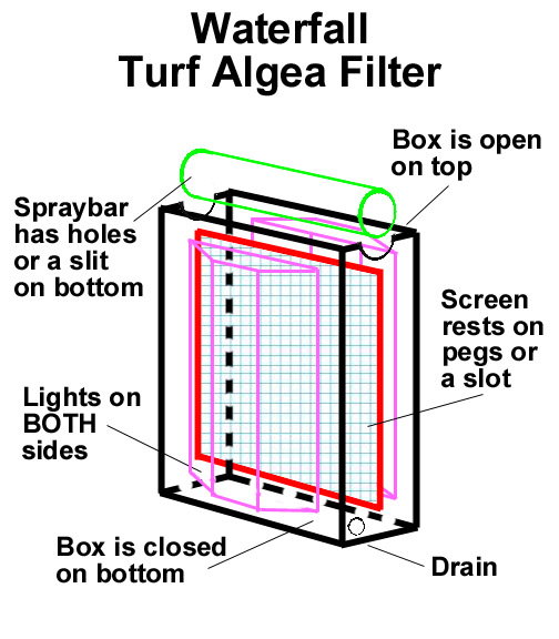 Algae Turf